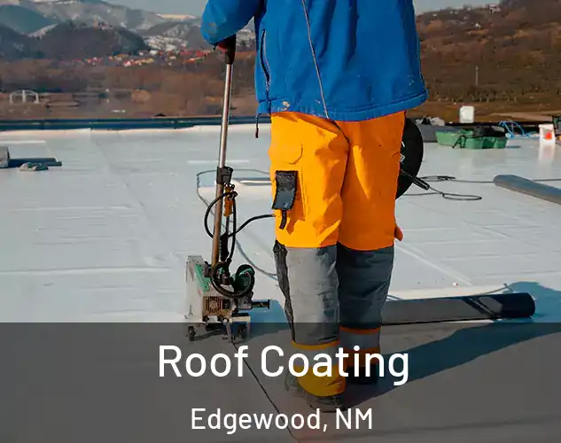  Roof Coating Edgewood, NM