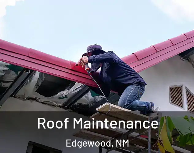  Roof Maintenance Edgewood, NM