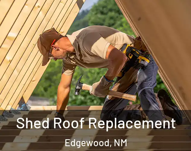  Shed Roof Replacement Edgewood, NM